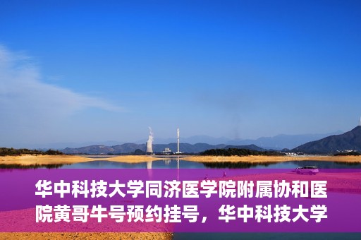 华中科技大学同济医学院附属协和医院黄哥牛号预约挂号，华中科技大学同济医学院附属协和医院黄哥牛号预约挂号攻略解析