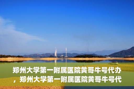 郑州大学第一附属医院黄哥牛号代办，郑州大学第一附属医院黄哥牛号代办，就医新选择与信赖之选