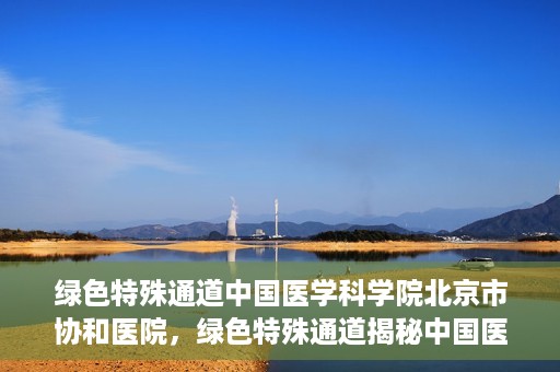 绿色特殊通道中国医学科学院北京市协和医院，绿色特殊通道揭秘中国医学科学院北京市协和医院的力量与担当