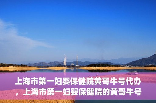 上海市第一妇婴保健院黄哥牛号代办，上海市第一妇婴保健院的黄哥牛号代办服务解析