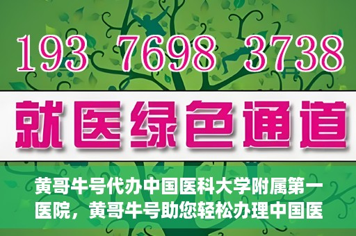 黄哥牛号代办中国医科大学附属第一医院，黄哥牛号助您轻松办理中国医科大学附属第一医院事务。