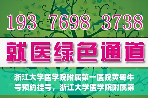 浙江大学医学院附属第一医院黄哥牛号预约挂号，浙江大学医学院附属第一医院黄哥牛号预约挂号攻略详解