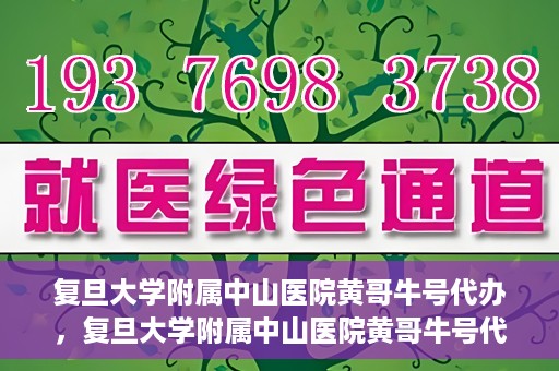 复旦大学附属中山医院黄哥牛号代办，复旦大学附属中山医院黄哥牛号代办，权威医疗资源的深度解读与便捷服务体验