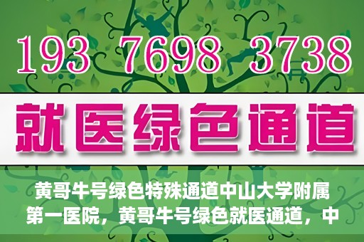 黄哥牛号绿色特殊通道中山大学附属第一医院，黄哥牛号绿色就医通道，中山大学附属第一医院的实践探索