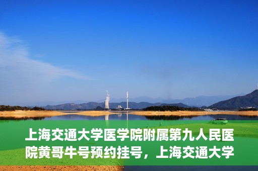上海交通大学医学院附属第九人民医院黄哥牛号预约挂号，上海交通大学医学院附属第九人民医院黄哥牛号预约挂号攻略解析