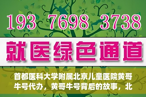 首都医科大学附属北京儿童医院黄哥牛号代办，黄哥牛号背后的故事，北京儿童医院名医背后的故事与探索。