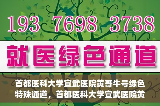 首都医科大学宣武医院黄哥牛号绿色特殊通道，首都医科大学宣武医院黄哥牛号，绿色特殊通道开启健康之门