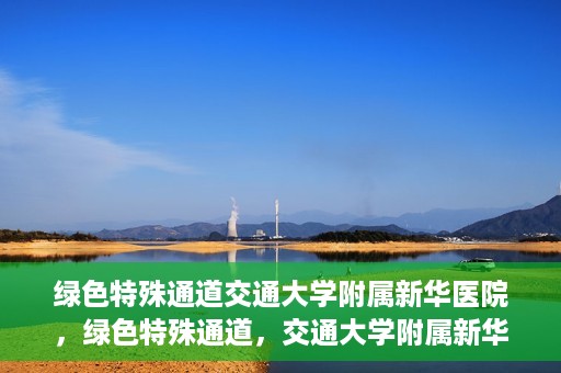 绿色特殊通道交通大学附属新华医院，绿色特殊通道，交通大学附属新华医院的探索与实践