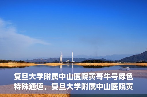 复旦大学附属中山医院黄哥牛号绿色特殊通道，复旦大学附属中山医院黄哥牛号，绿色特殊通道开启健康之门