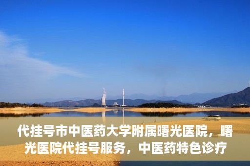 代挂号市中医药大学附属曙光医院，曙光医院代挂号服务，中医药特色诊疗体验之旅