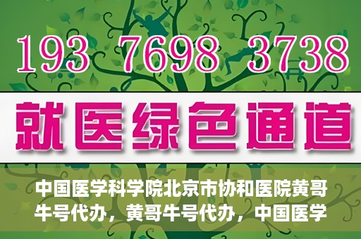 中国医学科学院北京市协和医院黄哥牛号代办，黄哥牛号代办，中国医学科学院北京市协和医院就医新途径探索