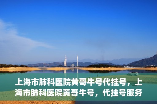 上海市肺科医院黄哥牛号代挂号，上海市肺科医院黄哥牛号，代挂号服务详解