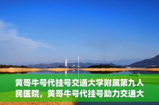 黄哥牛号代挂号交通大学附属第九人民医院，黄哥牛号代挂号助力交通大学附属第九人民医院就医顺利之路