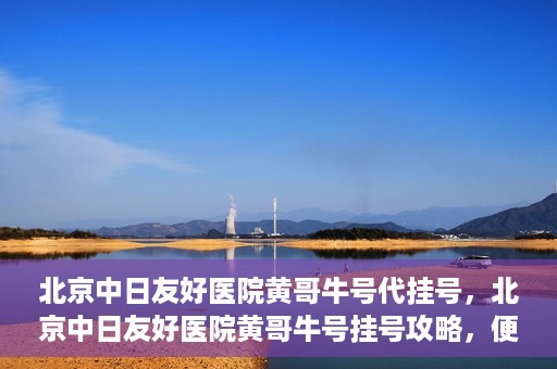 北京中日友好医院黄哥牛号代挂号，北京中日友好医院黄哥牛号挂号攻略，便捷代挂号服务解析