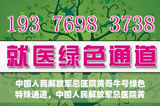 中国人民解放军总医院黄哥牛号绿色特殊通道，中国人民解放军总医院黄哥牛号，绿色特殊通道开启健康之门