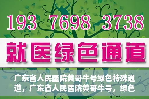 广东省人民医院黄哥牛号绿色特殊通道，广东省人民医院黄哥牛号，绿色特殊通道开启健康之门