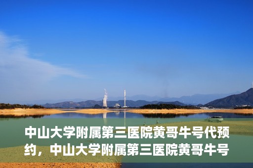 中山大学附属第三医院黄哥牛号代预约，中山大学附属第三医院黄哥牛号预约攻略，轻松解决挂号难题