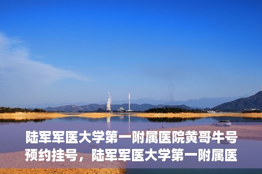陆军军医大学第一附属医院黄哥牛号预约挂号，陆军军医大学第一附属医院黄哥牛号预约挂号指南，轻松挂号，健康无忧！