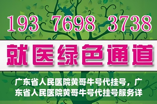 广东省人民医院黄哥牛号代挂号，广东省人民医院黄哥牛号代挂号服务详解