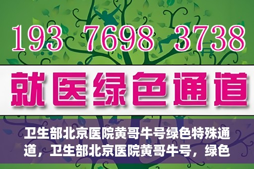 卫生部北京医院黄哥牛号绿色特殊通道，卫生部北京医院黄哥牛号，绿色特殊通道开启健康之门