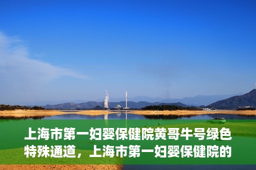 上海市第一妇婴保健院黄哥牛号绿色特殊通道，上海市第一妇婴保健院的绿色特殊通道，黄哥牛号行动启动