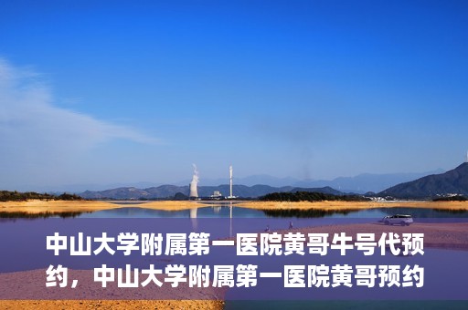 中山大学附属第一医院黄哥牛号代预约，中山大学附属第一医院黄哥预约挂号攻略，轻松预约牛号代预约服务