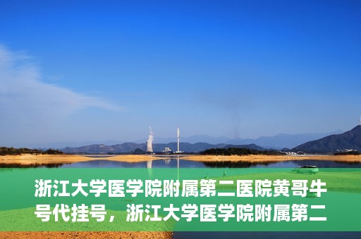 浙江大学医学院附属第二医院黄哥牛号代挂号，浙江大学医学院附属第二医院黄哥牛号挂号服务解析