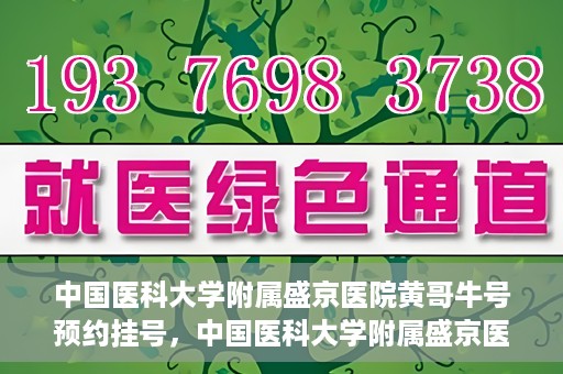 中国医科大学附属盛京医院黄哥牛号预约挂号，中国医科大学附属盛京医院黄哥牛号，预约挂号指南