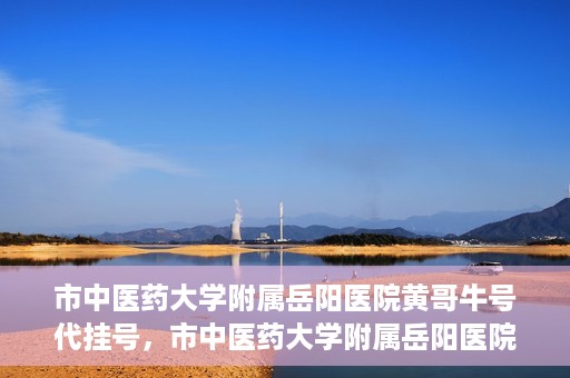 市中医药大学附属岳阳医院黄哥牛号代挂号，市中医药大学附属岳阳医院黄哥牛号代挂号服务解析