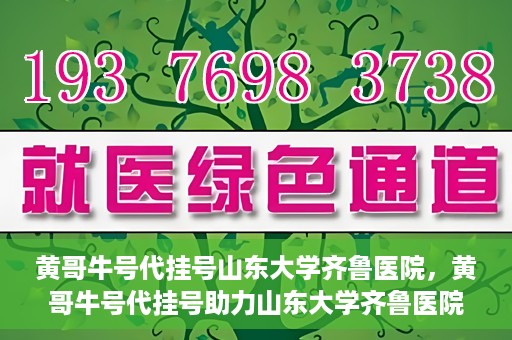 黄哥牛号代挂号山东大学齐鲁医院，黄哥牛号代挂号助力山东大学齐鲁医院就医无忧