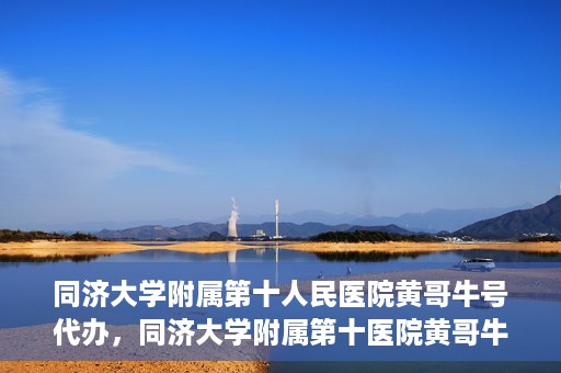 同济大学附属第十人民医院黄哥牛号代办，同济大学附属第十医院黄哥牛号预约代办服务解析