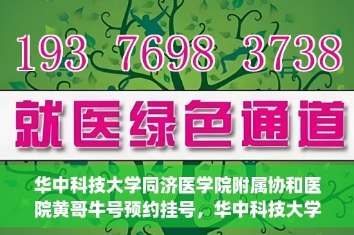 华中科技大学同济医学院附属协和医院黄哥牛号预约挂号，华中科技大学同济医学院附属协和医院黄哥牛号预约挂号攻略解析