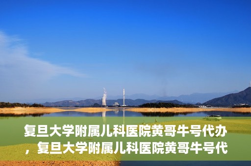 复旦大学附属儿科医院黄哥牛号代办，复旦大学附属儿科医院黄哥牛号代办，一站式服务详解