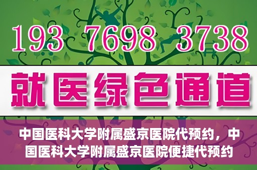 中国医科大学附属盛京医院代预约，中国医科大学附属盛京医院便捷代预约服务解析