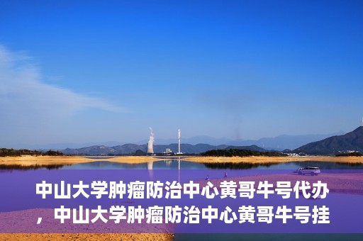 中山大学肿瘤防治中心黄哥牛号代办，中山大学肿瘤防治中心黄哥牛号挂号代办服务解析