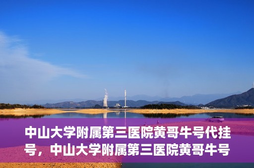 中山大学附属第三医院黄哥牛号代挂号，中山大学附属第三医院黄哥牛号助您轻松挂号就医