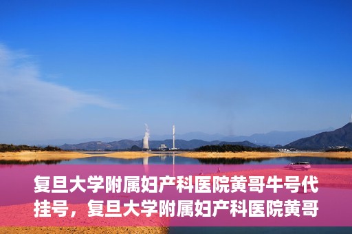 复旦大学附属妇产科医院黄哥牛号代挂号，复旦大学附属妇产科医院黄哥牛号代挂号攻略解析