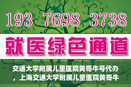 交通大学附属儿童医院黄哥牛号代办，上海交通大学附属儿童医院黄哥牛号代办揭秘，真相与警示
