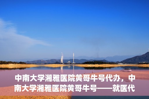 中南大学湘雅医院黄哥牛号代办，中南大学湘雅医院黄哥牛号——就医代办服务详解