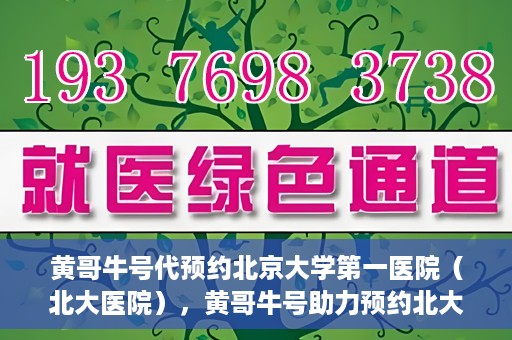 黄哥牛号代预约北京大学第一医院（北大医院），黄哥牛号助力预约北大医院——北京大学第一医院权威预约服务开启