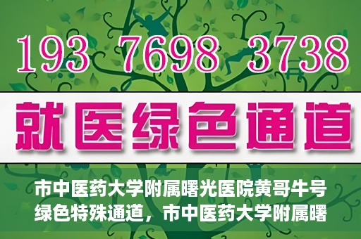 市中医药大学附属曙光医院黄哥牛号绿色特殊通道，市中医药大学附属曙光医院黄哥牛号，绿色特殊通道开启健康之门