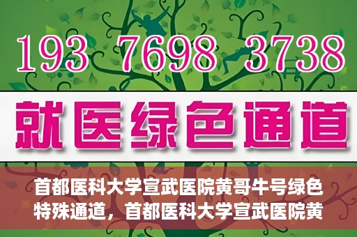 首都医科大学宣武医院黄哥牛号绿色特殊通道，首都医科大学宣武医院黄哥牛号，绿色特殊通道开启健康之门