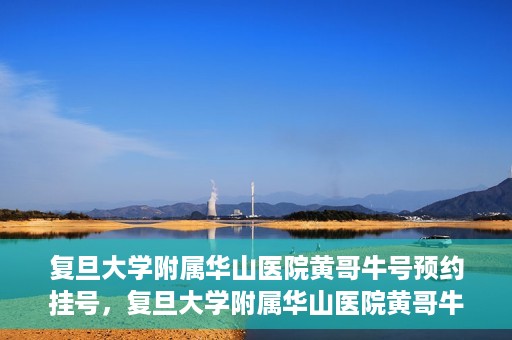 复旦大学附属华山医院黄哥牛号预约挂号，复旦大学附属华山医院黄哥牛号预约挂号攻略详解