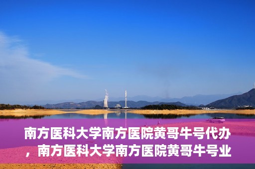 南方医科大学南方医院黄哥牛号代办，南方医科大学南方医院黄哥牛号业务代办攻略