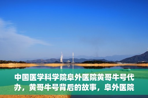 中国医学科学院阜外医院黄哥牛号代办，黄哥牛号背后的故事，阜外医院名医揭秘与医疗服务的深度解读
