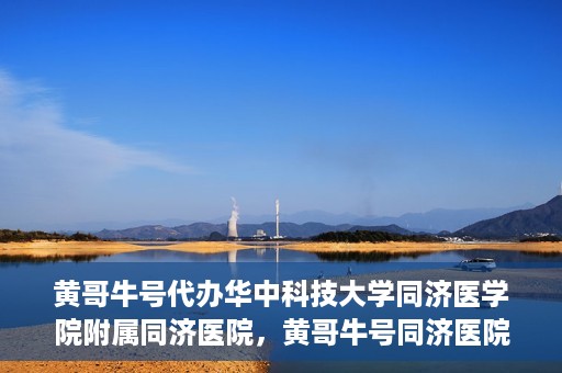 黄哥牛号代办华中科技大学同济医学院附属同济医院，黄哥牛号同济医院代办服务，专业助力就医无忧！