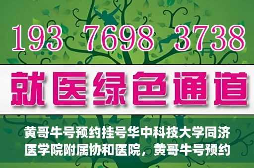黄哥牛号预约挂号华中科技大学同济医学院附属协和医院，黄哥牛号预约挂号，华中科技大学同济医学院附属协和医院就医新体验
