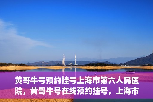 黄哥牛号预约挂号上海市第六人民医院，黄哥牛号在线预约挂号，上海市第六人民医院就医新选择