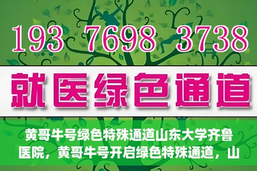 黄哥牛号绿色特殊通道山东大学齐鲁医院，黄哥牛号开启绿色特殊通道，山东大学齐鲁医院焕新篇章