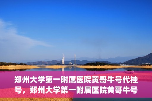 郑州大学第一附属医院黄哥牛号代挂号，郑州大学第一附属医院黄哥牛号代挂号攻略揭秘